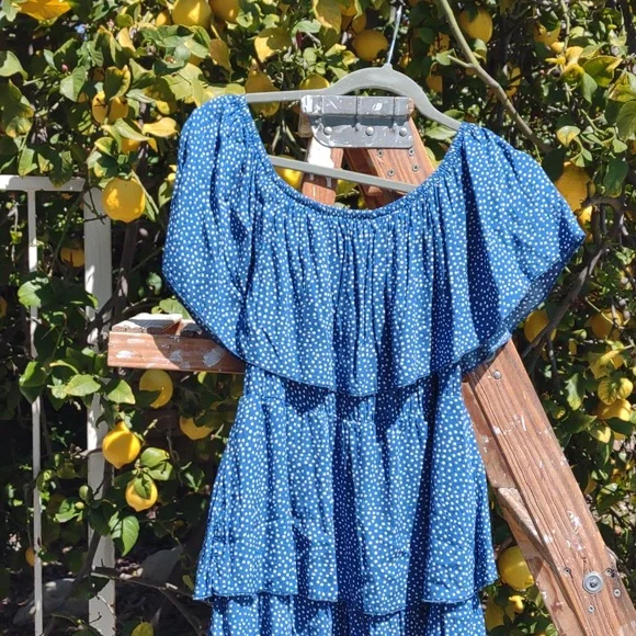 Blue Polka-Dot Tiered Peasant Dress L - Picture 2 of 8
